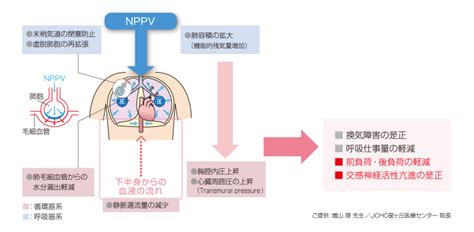 呼吸困難心理作用|1 呼吸困難のメカニズム